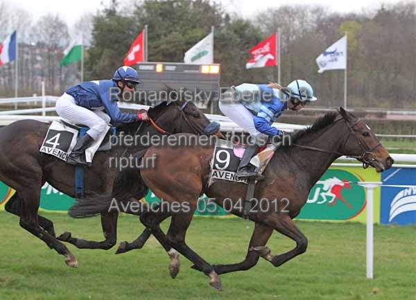 Romanofsky Eberle D 3 prot